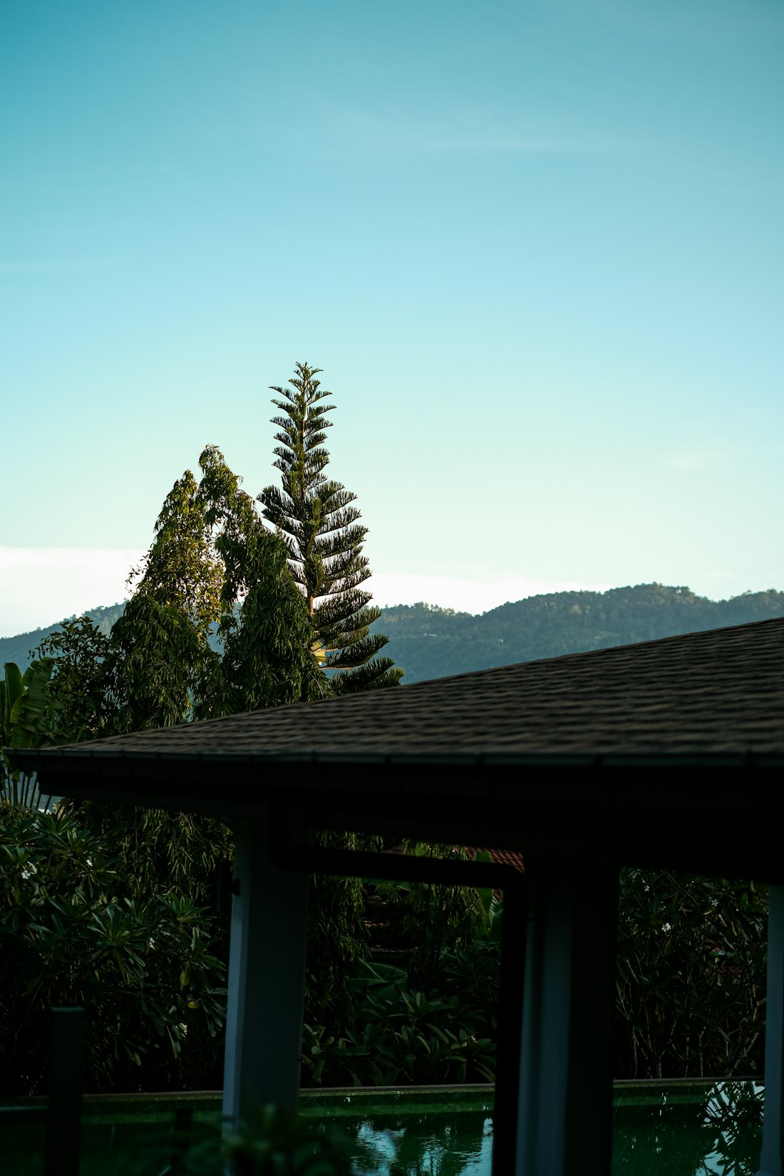 Pemandangan pohon dan gunung dari dalam rumah